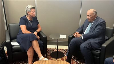 شكرى لـ المفوضة الأوروبية لشئون الهجرة: مصر تستضيف 9 ملايين أجنبي وتحتاج دعما ماليا