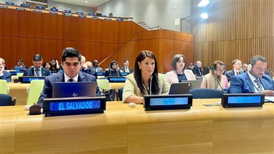 المشاط تلقي كلمة مصر في جلسة التمويل من أجل التنمية، البلدان النامية تمثل 84% من عدد سكان العالم، ويجب تخصيص الموارد اللازمة للتغلب على التحديات