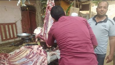 تحرير 42 محضرا تموينيا وضبط مخزن غير مرخص في حملة بأسيوط 