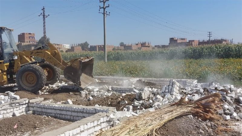 ازالة حالة تعدي باسيوط،