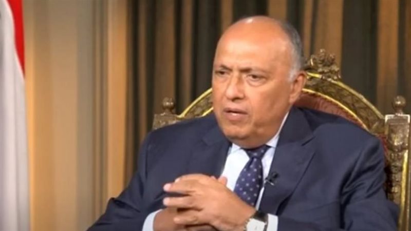 سامح شكري وزير الخارجية،