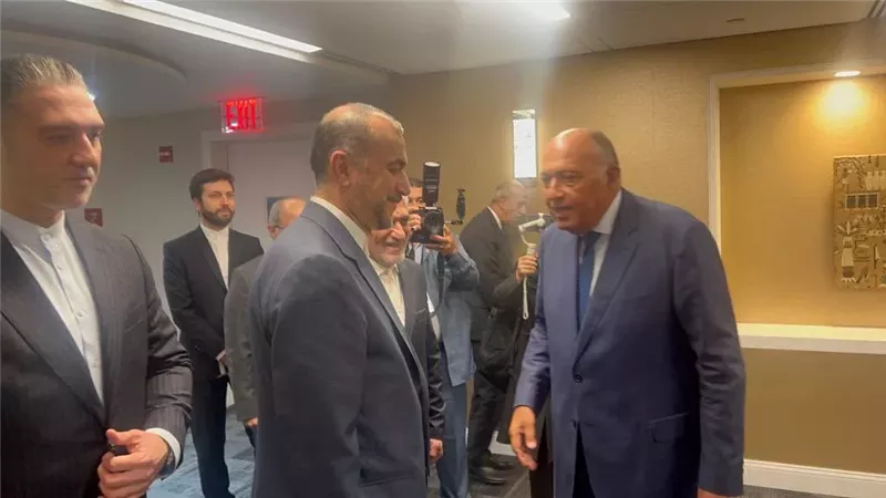شكري وعبد اللهيان،