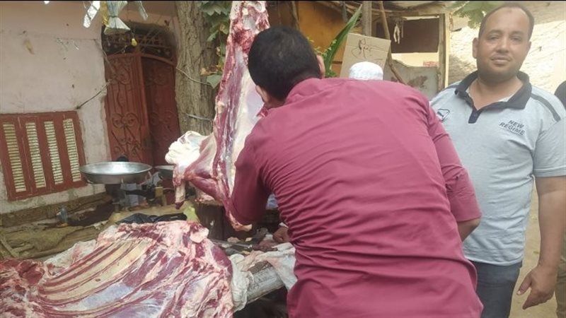 حملة تموينية بأسيوط،
