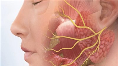  الألم خلف الأذن، علامة تنذر بالإصابة بشلل العصب السابع وهذه أسبابه
