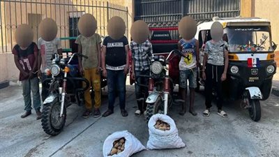  أخبار الحوادث اليوم: سقوط عصابة البطاطس بالقليوبية.. ونظر 3 دعاوى باستبعاد لبيب وجعفر من انتخابات الزمالك