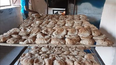 ضبط مخالفات وتحرير 11 محضرا لأصحاب مخابز بلدية وسياحية تلاعبوا في مواصفات الخبز بالغربية