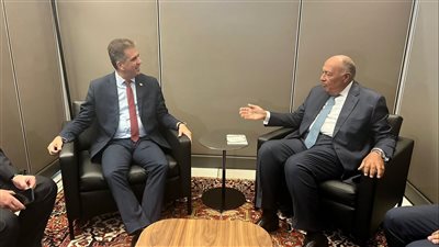 سامح شكرى لـ وزير خارجية إسرائيل: تحقيق السلام الشامل بإقامة الدولة الفلسطينية 