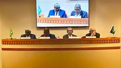 أبو الغيط يعرب عن تطلعه لعقد القمة العربية- الإفريقية الخامسة بالسعودية نوفمبر المقبل