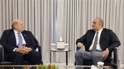 تفاصيل لقاء رئيس مجلس الشيوخ ورئيس الوزراء الأردني