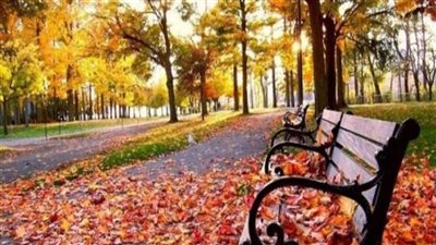 البحوث الفلكية: 22 سبتمبر ذروة فصل الخريف فلكيا