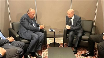 سامح شكرى يلتقي رئيس مجلس القيادة الرئاسي اليمني 