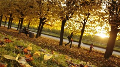 الأرصاد تحذر من سيول تضرب هذه المناطق خلال الخريف وتكشف الأسباب