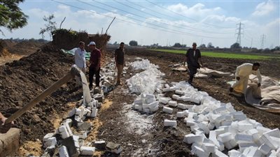  إزالة فورية لـ21 حالة تعد على الأراضى الزراعية بالمنوفية خلال أسبوعين