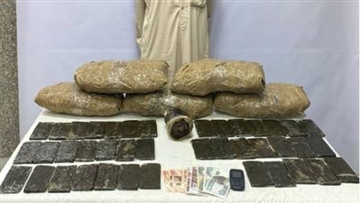 بقيمة 1.1 مليون جنيه، ضبط 30 كيلو هيدرو وحشيش فى الشرقية قبل ترويجهم 