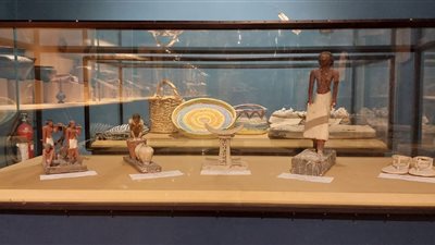 متحف ملوي بالمنيا يحتفل بالعيد السابع لإعادة افتتاحه 