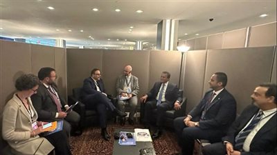 وزير الصحة يبحث مع نظيره الفرنسي التعاون في زراعة الأعضاء