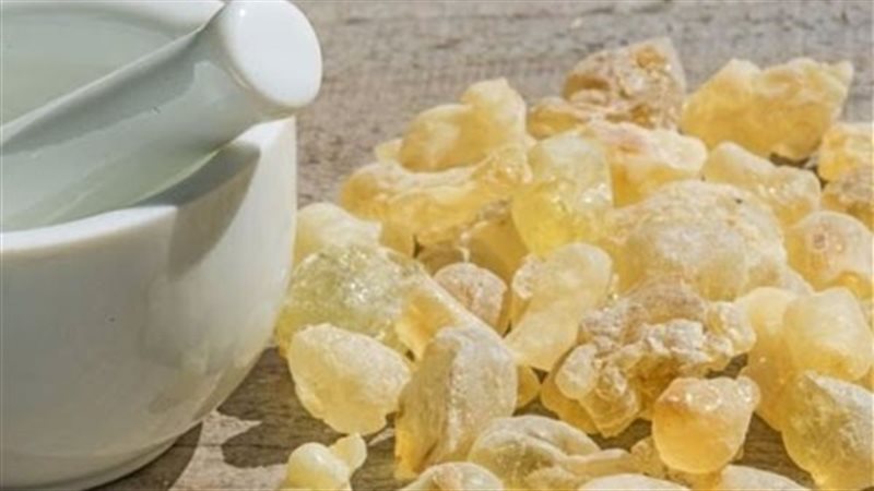 فوائد اللبان الدكر،