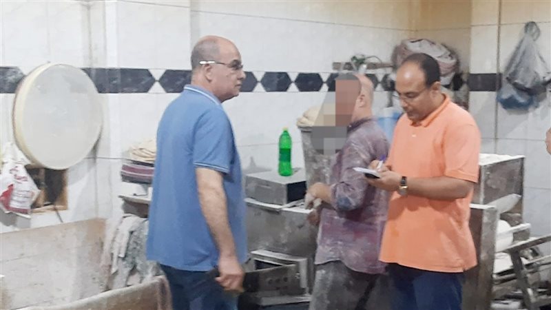 حملة تموينية بالدقهلية،