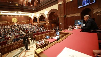 مجلس الشيوخ يشهد اليوم انتخاب هيئات مكاتب اللجان النوعية