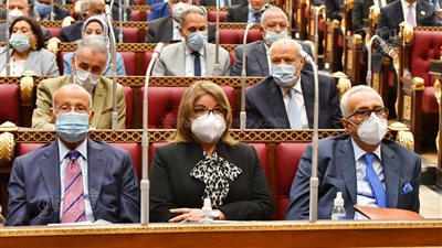 أسامة منتصر رئيسًا للجنة الدفاع بـ الشيوخ