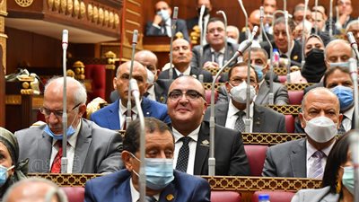 مجلس الشيوخ يرفع جلسته العامة لإجراء انتخابات لجانه النوعية 