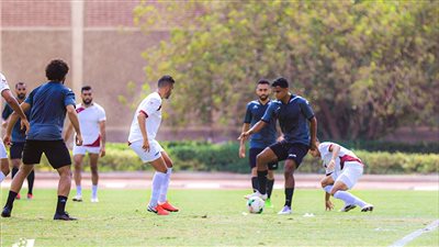 رسميا.. تأجيل مباراة المنصورة والمصري بالسلوم