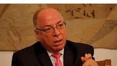 وزير الثقافة الأسبق: 40 % من الشعب خرج في ثورة 30 يونيو