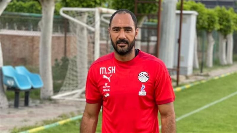 محمد شوقي 