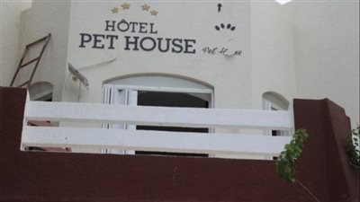 الإعلان عن أول فندق للحيوانات الأليفة في تونس | صور