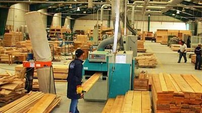 أخبار الاقتصاد | تراجع الذهب محليا وعالميا.. ومواد البناء تكشف سبب ارتفاع أسعار الأخشاب