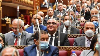 تعرف على أولى مهام اللجان النوعية بمجلس الشيوخ بعد إجراء انتخابات هيئات مكاتبها