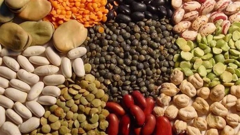 اسعار البقوليات 