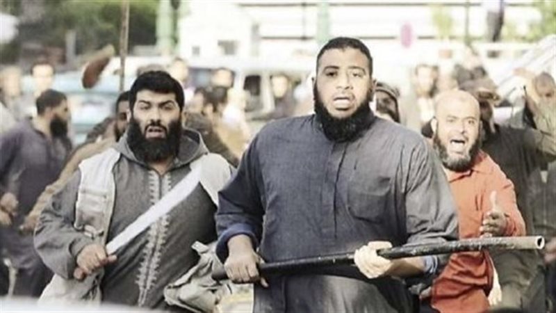 أنصار الإخوان 