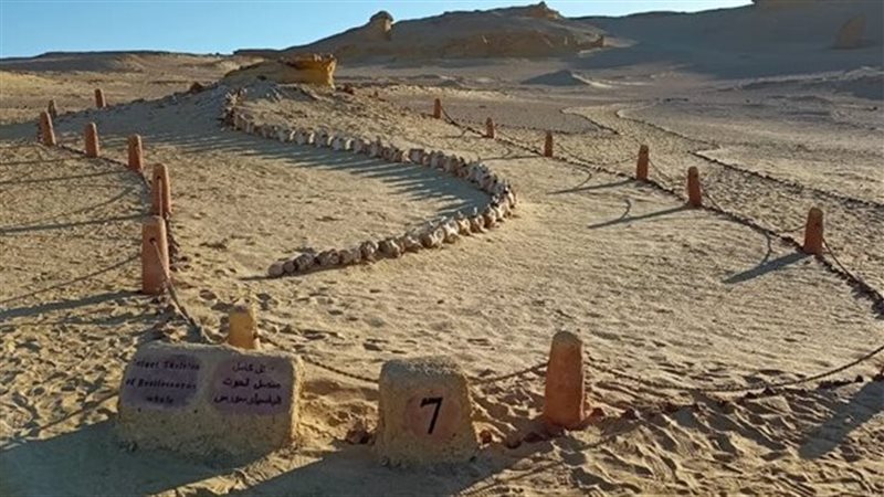 وادي الحيتان بالفيوم