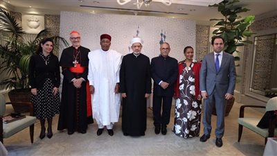 شيخ الأزهر لأعضاء تحكيم جائزة زايد للأخوة: ضعوا مشاهد المشردين نصب أعينكم 