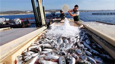 أهداف جهاز حماية وتنمية البحيرات وفقا للقانون