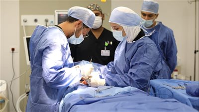 الرعاية الصحية تطلق أول مبادرة للقضاء على قوائم الانتظار بمستشفياتها بالإسماعيلية