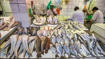 أسعار الأسماك اليوم السبت 9 -10-2021 في الدقهلية