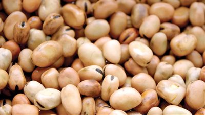 أخبار الاقتصاد اليوم: الصناعات الغذائية ترفع الأسعار 50٪.. و20 % زيادة في أسعار الفول بالأسواق