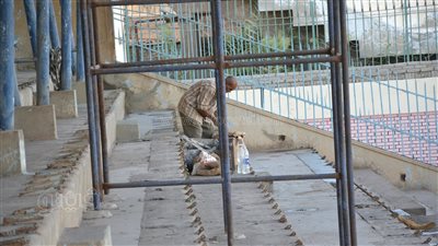 غزل المحلة يبدأ تطوير الإستاد قبل انطلاق الدوري | صور 