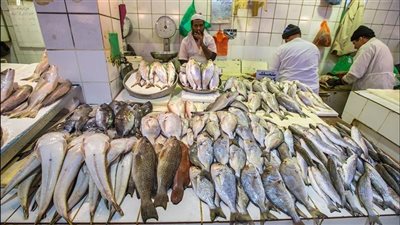 أسعار الأسماك اليوم الثلاثاء 19 -10-2021 بالدقهلية