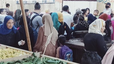 انتشار الباعة الجائلين بمحيط مجمع مدارس المطار في الإسكندرية | فيديو 