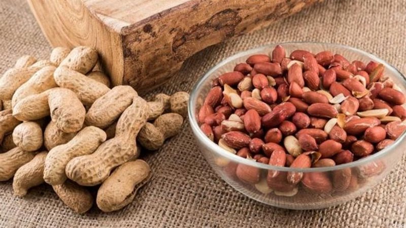 الفول السوداني
