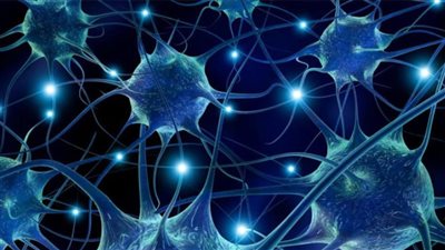 ما حكم استخدام تقنية الخلايا الجذعية في العلاج الطبي؟.. الإفتاء تجيب