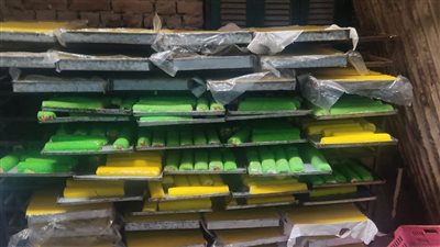 الصحة: ضبط وإعدام 27 طن حلوى وأغذية فاسدة بمحافظات الجمهورية