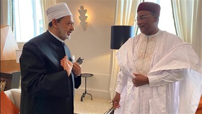 شيخ الأزهر: حان الوقت لنبذل كل ما في وسعنا لتقدم ونهضة إفريقيا