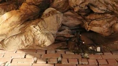 جماجم وأكفنة وبقايا عظام.. تفاصيل واقعة اتهام «دفان» بهدم مقابر عوارة بطنطا | صور