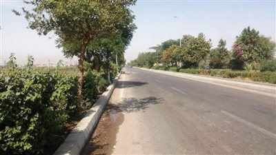 رئيس مدينة الأقصر يتابع أعمال التجميل بمدخل شارع منشأة العماري الرئيسي