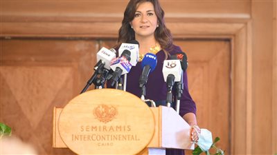 تفاصيل إصدار أول وثيقة تأمين للمصريين العاملين بالخارج مطلع 2022