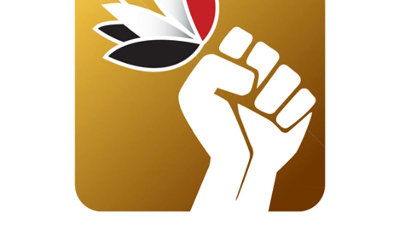 المصرى الديمقراطى